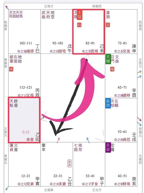 紫微斗數 疾厄宮|紫微斗數【紫微星入疾厄宮】解析